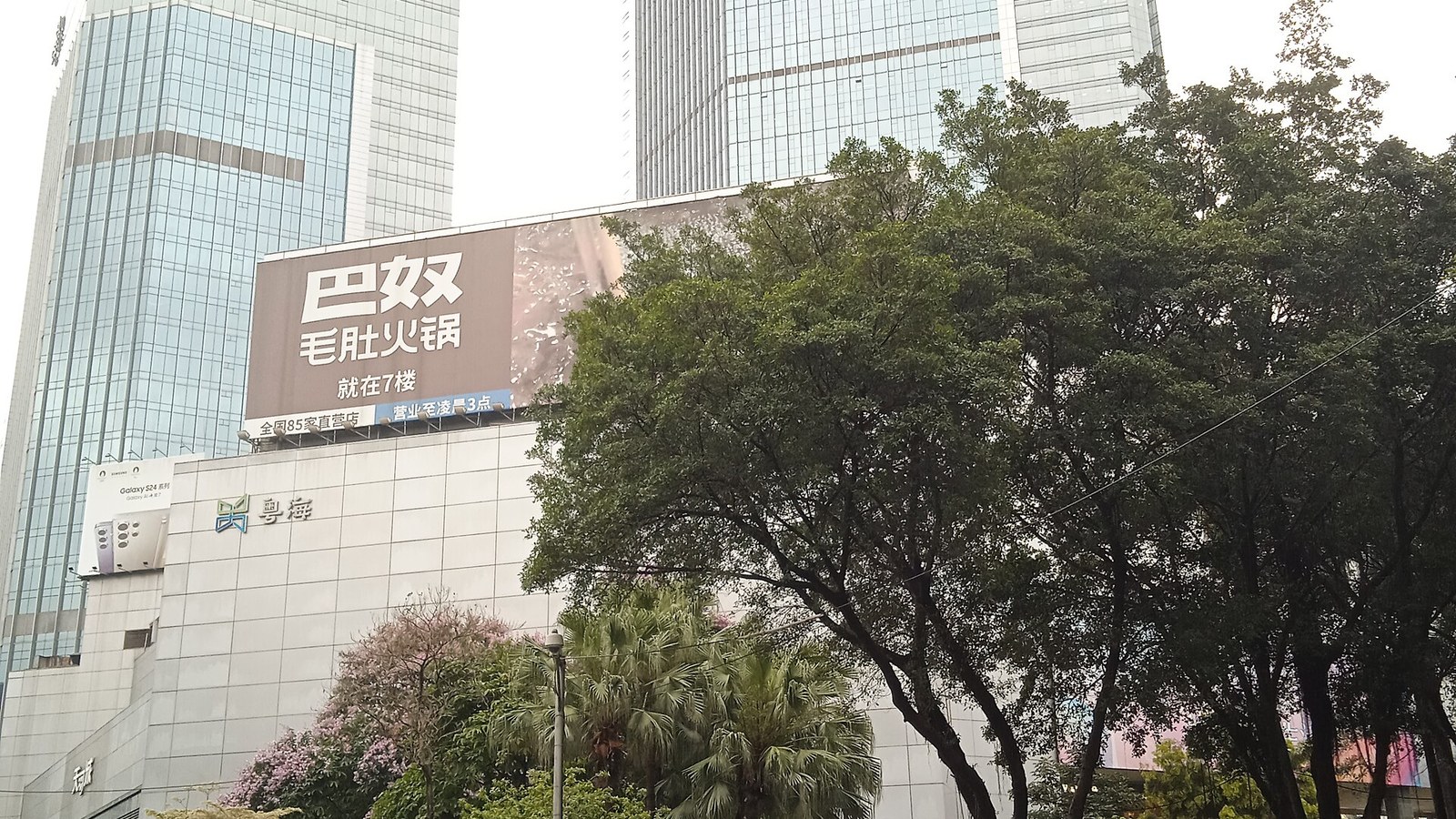 Guangdong Yuehai Teemall (Group) Co., Ltd.